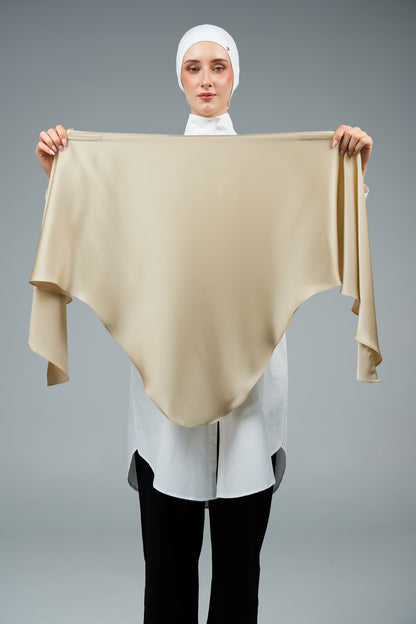 FlowX V2 in Cashmere